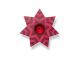 Tropfenfänger DRIP - Stern rosa/gold metallic